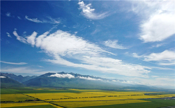 【】高原花开迎客来