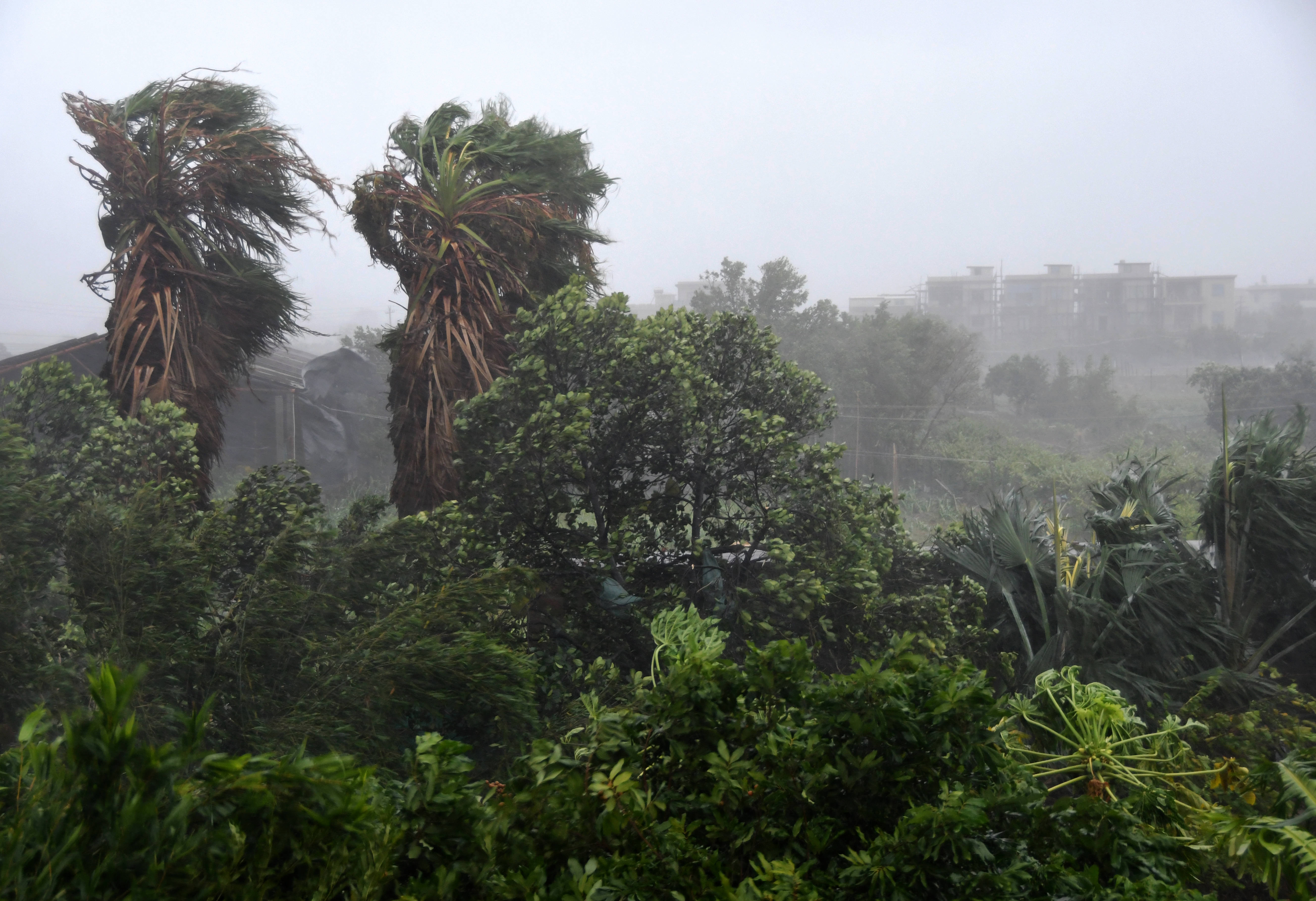 台风"米克拉"登陆福建_河北新闻网手机版