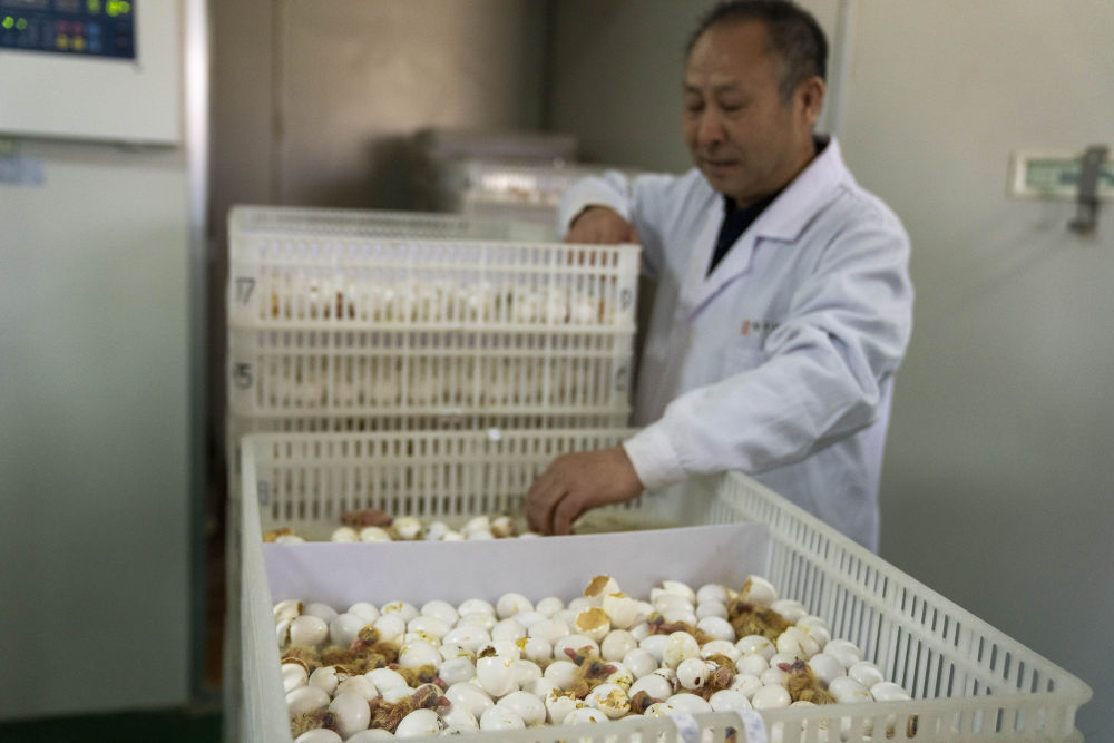 来自北京的科技扶贫答卷