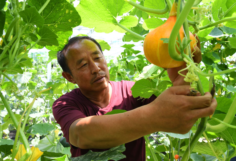 来自北京的科技扶贫答卷