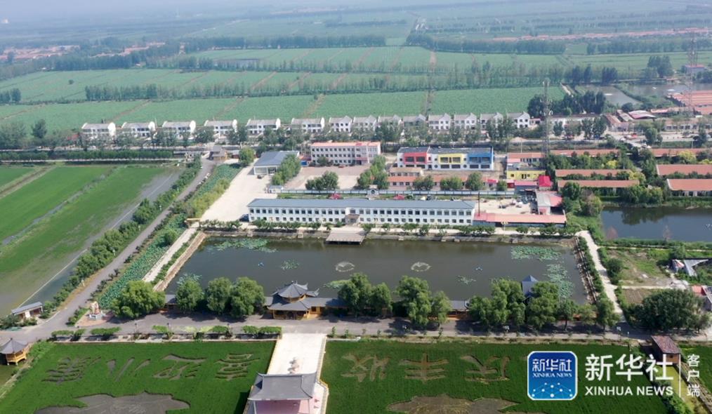 7月14日拍摄的天津市宝坻区八门城镇的欢喜庄(无人机照片).
