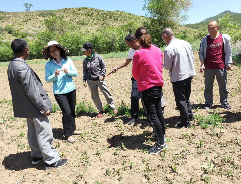 来自北京的科技扶贫答卷