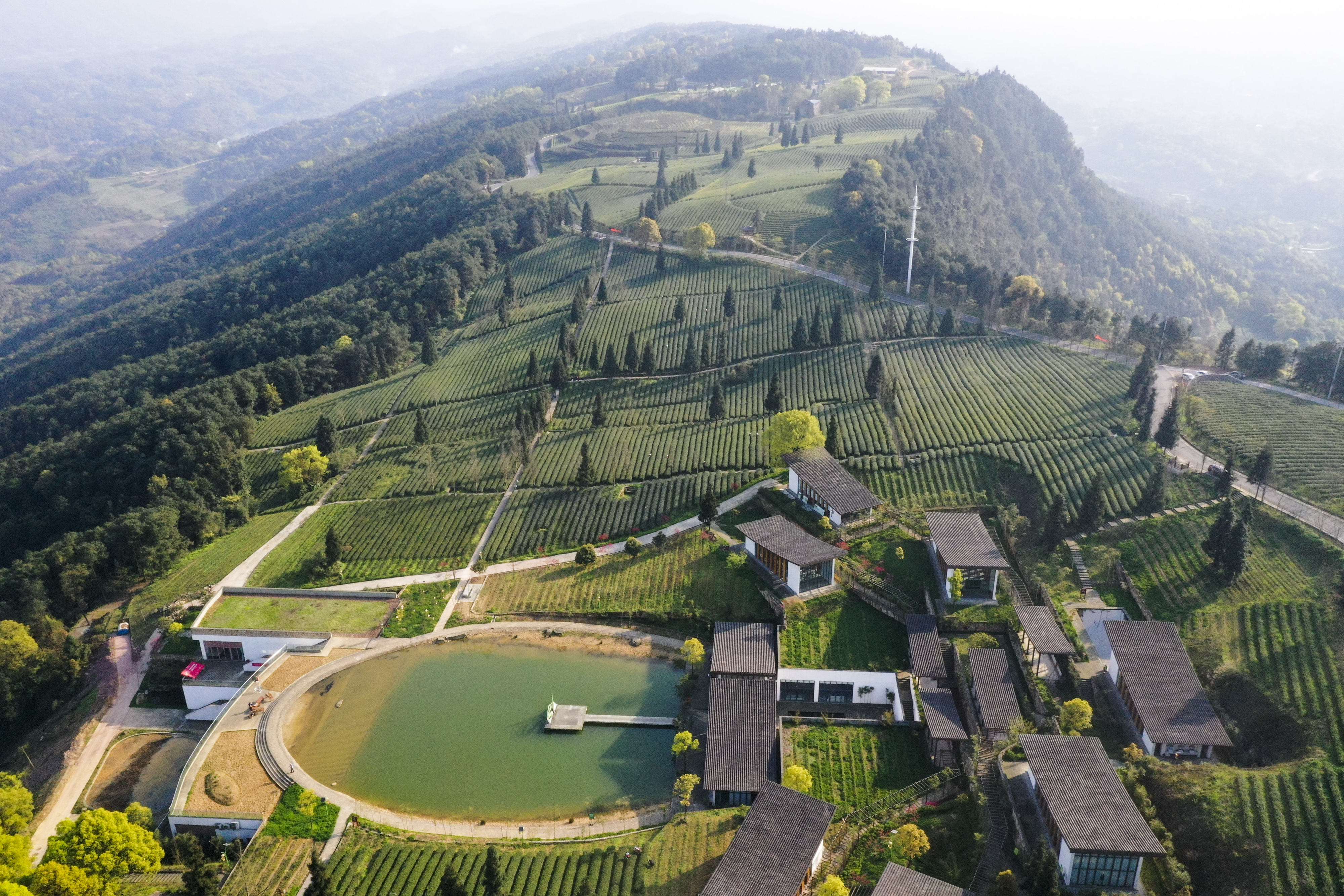 大城大乡的"幸福协奏曲"——重庆推动高质量发展创造高品质生活纪事