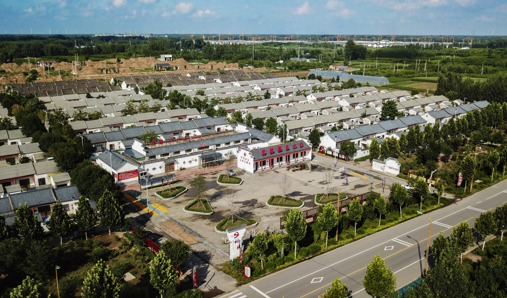 美丽乡村|＂齐＂心＂鲁＂力|从“一年‘吃’掉一个坯”到“美丽乡村”——来自山东省派夏津乡村振兴服务队的探索实践