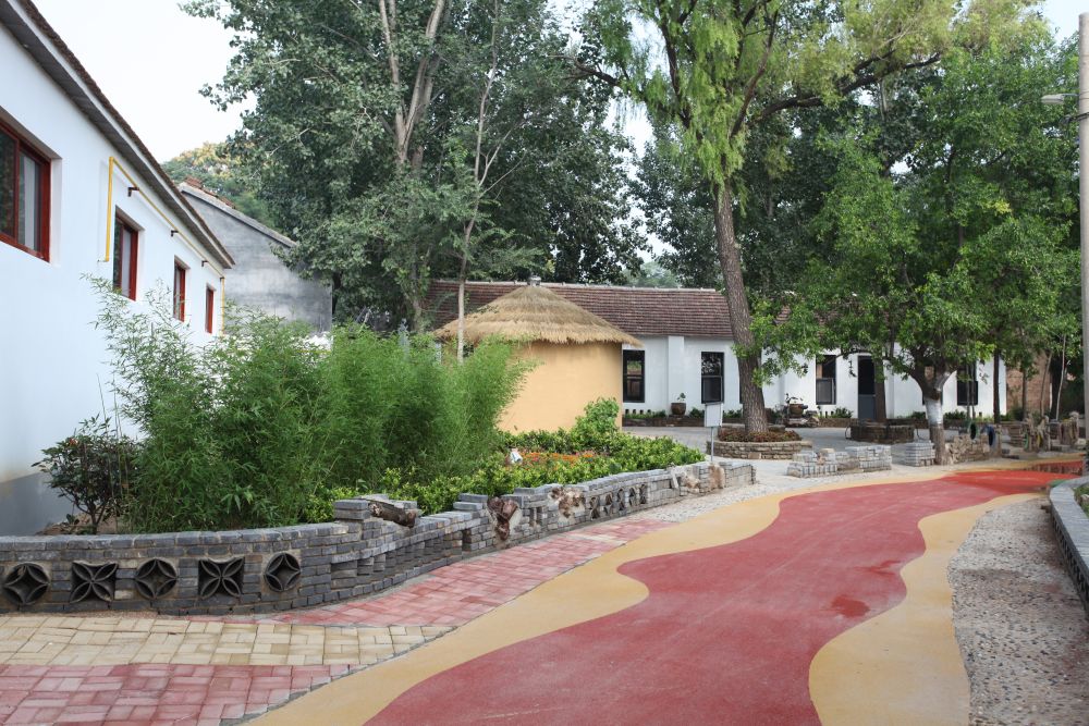 美丽乡村|＂齐＂心＂鲁＂力|从“一年‘吃’掉一个坯”到“美丽乡村”——来自山东省派夏津乡村振兴服务队的探索实践