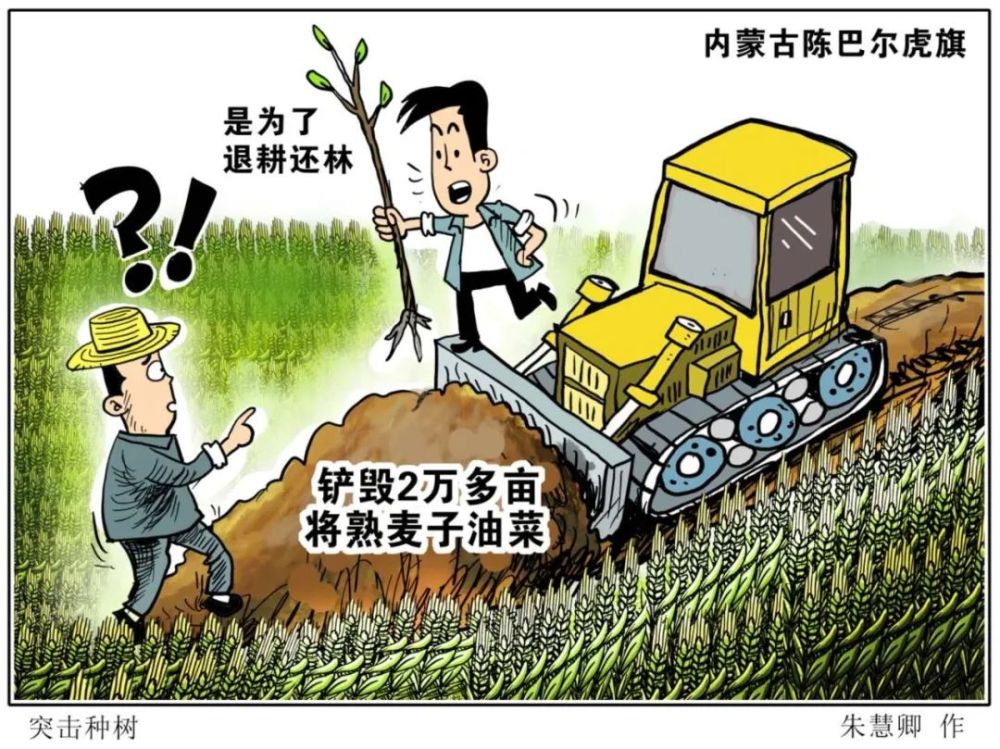 快评漫谈要答好退耕还林这道考题怎能靠蛮力突击