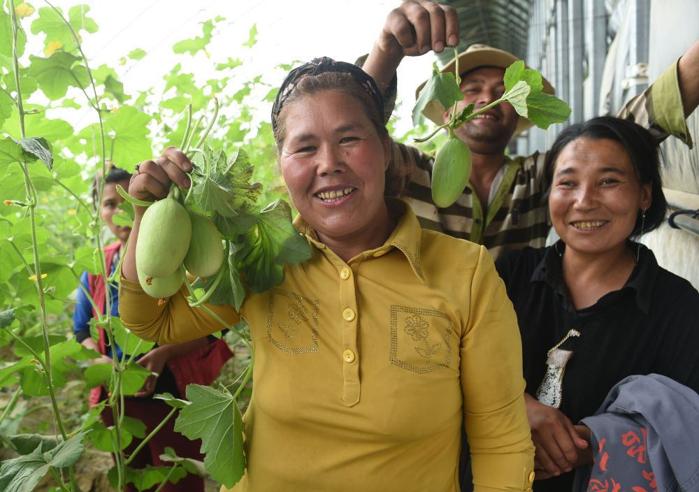 来自北京的科技扶贫答卷