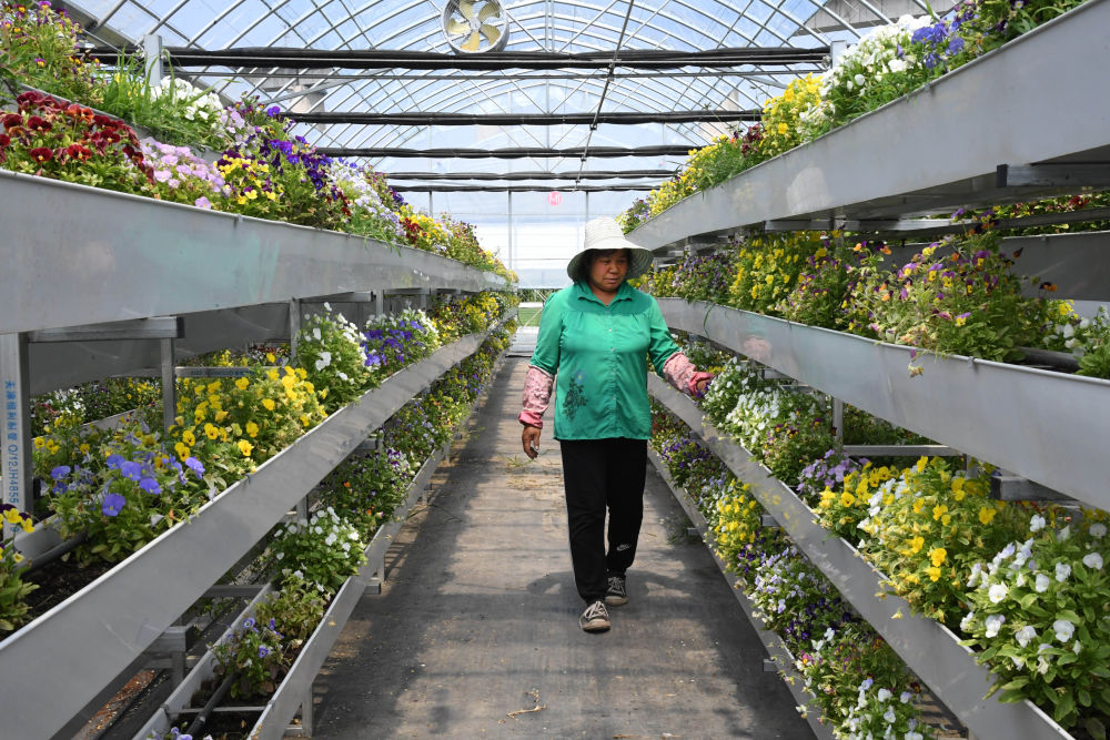 来自北京的科技扶贫答卷