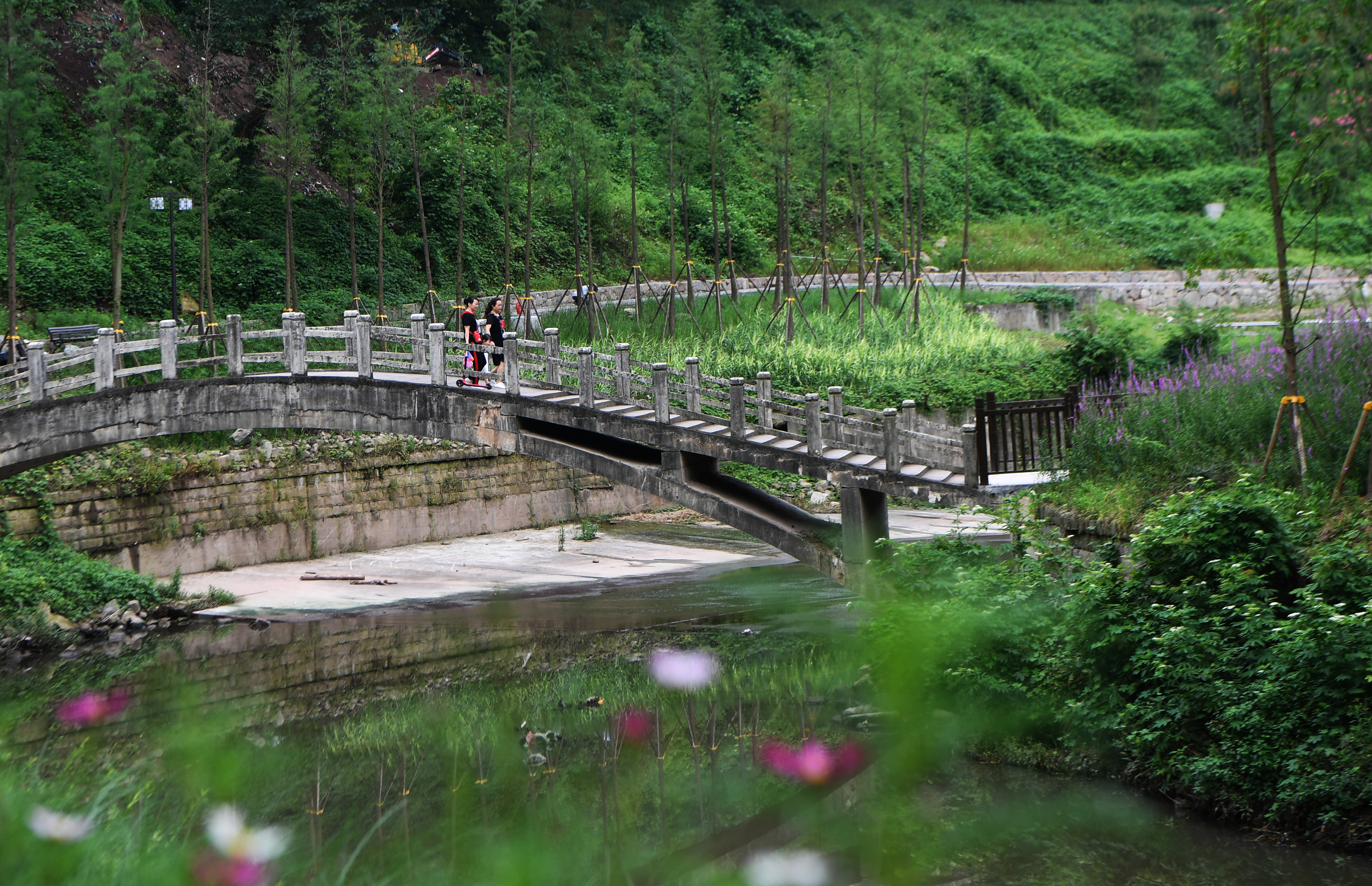 6月18日,市民在位于重庆市沙坪坝区的清水溪一带游览