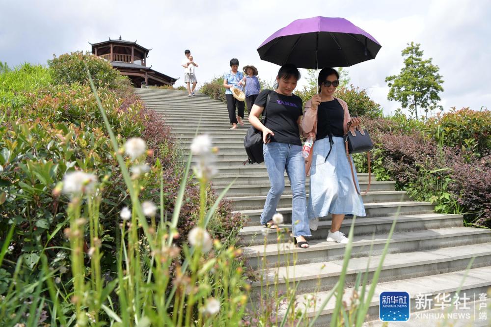 矿山|从废弃矿山到生态“福地”——江西寻乌战荒记