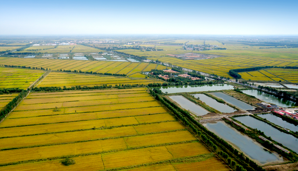 喜看津沽米粮仓天津市宝坻区的丰收密码