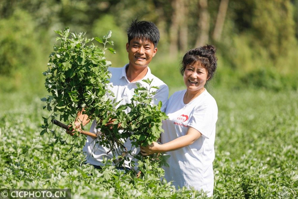 |河南宝丰：小康路上的夫妻“艾”情