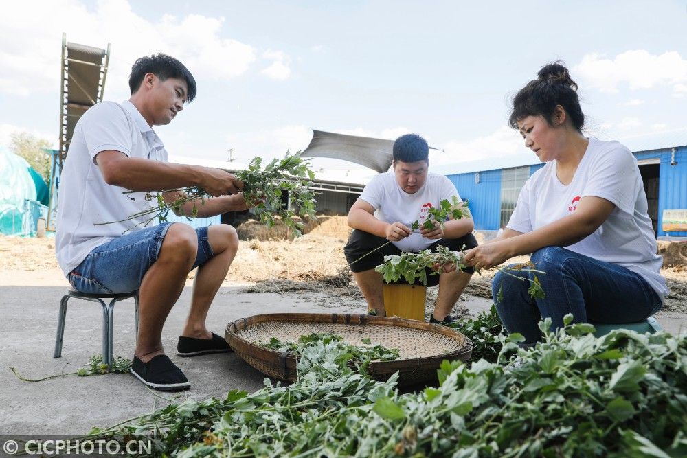 |河南宝丰：小康路上的夫妻“艾”情