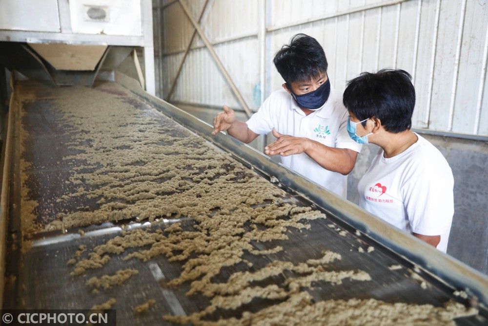 |河南宝丰：小康路上的夫妻“艾”情