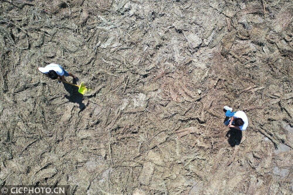 |河南宝丰：小康路上的夫妻“艾”情
