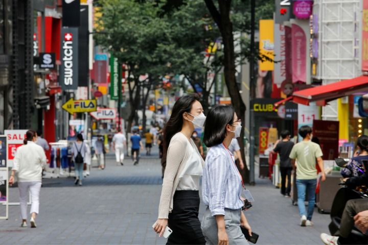 韩过半单人户是女性 新华社客户端