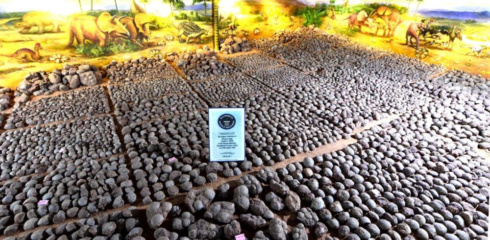 新华社|修个路也能挖到恐龙蛋，这座小城堪称现实版“侏罗纪公园”