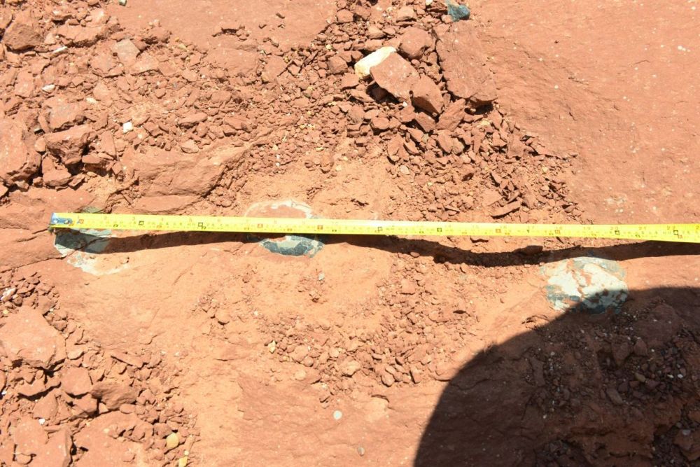 新华社|修个路也能挖到恐龙蛋，这座小城堪称现实版“侏罗纪公园”