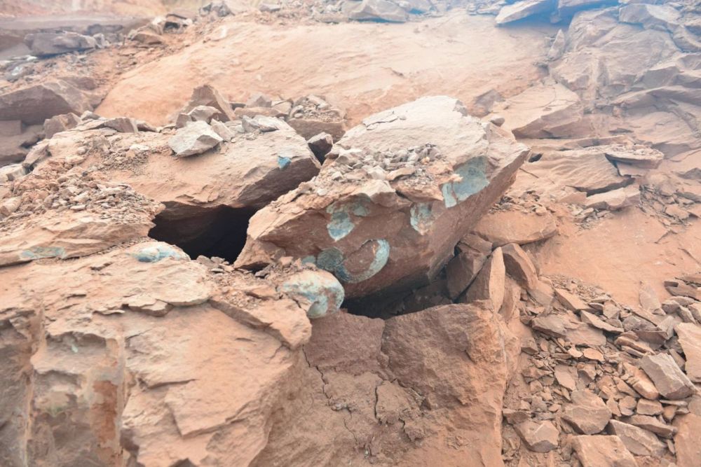 新华社|修个路也能挖到恐龙蛋，这座小城堪称现实版“侏罗纪公园”