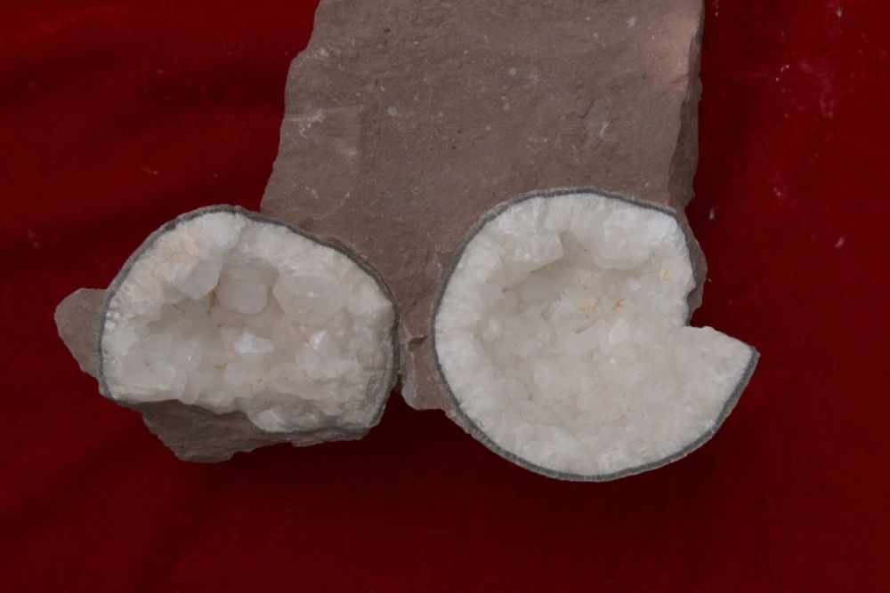 新华社|修个路也能挖到恐龙蛋，这座小城堪称现实版“侏罗纪公园”