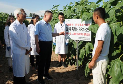 种子|却败给国内几十种冒牌货，“仿种子”之乱：10年自研打败垄断