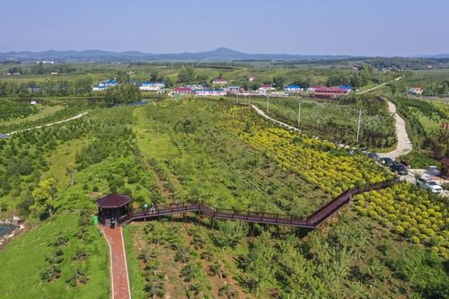在吉林一瞥中国东北乡村美丽未来