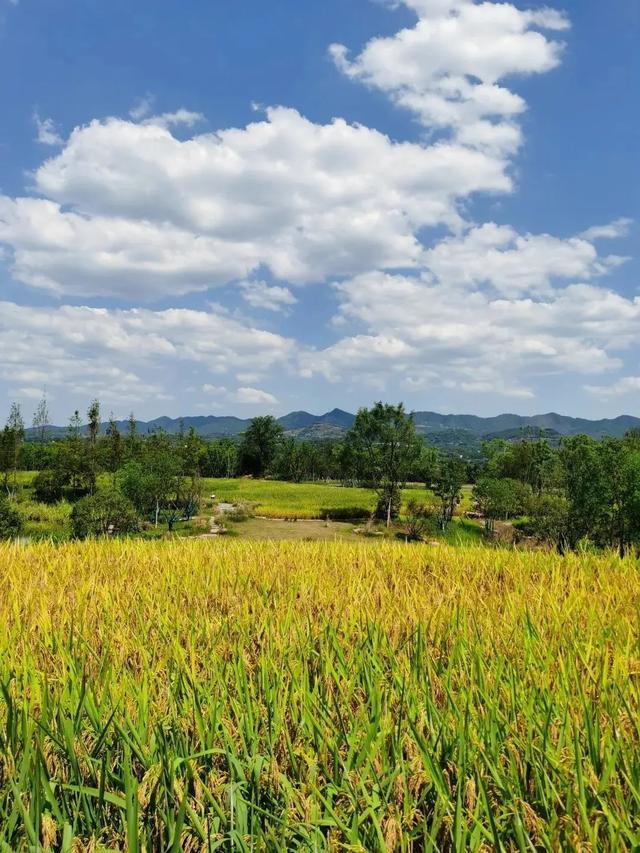 广阳之秋 | 色彩不浓 清风温柔|广阳之秋 | 色彩不浓 清风温柔