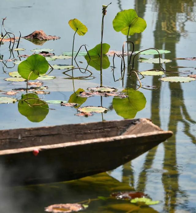 广阳之秋 | 色彩不浓 清风温柔|广阳之秋 | 色彩不浓 清风温柔