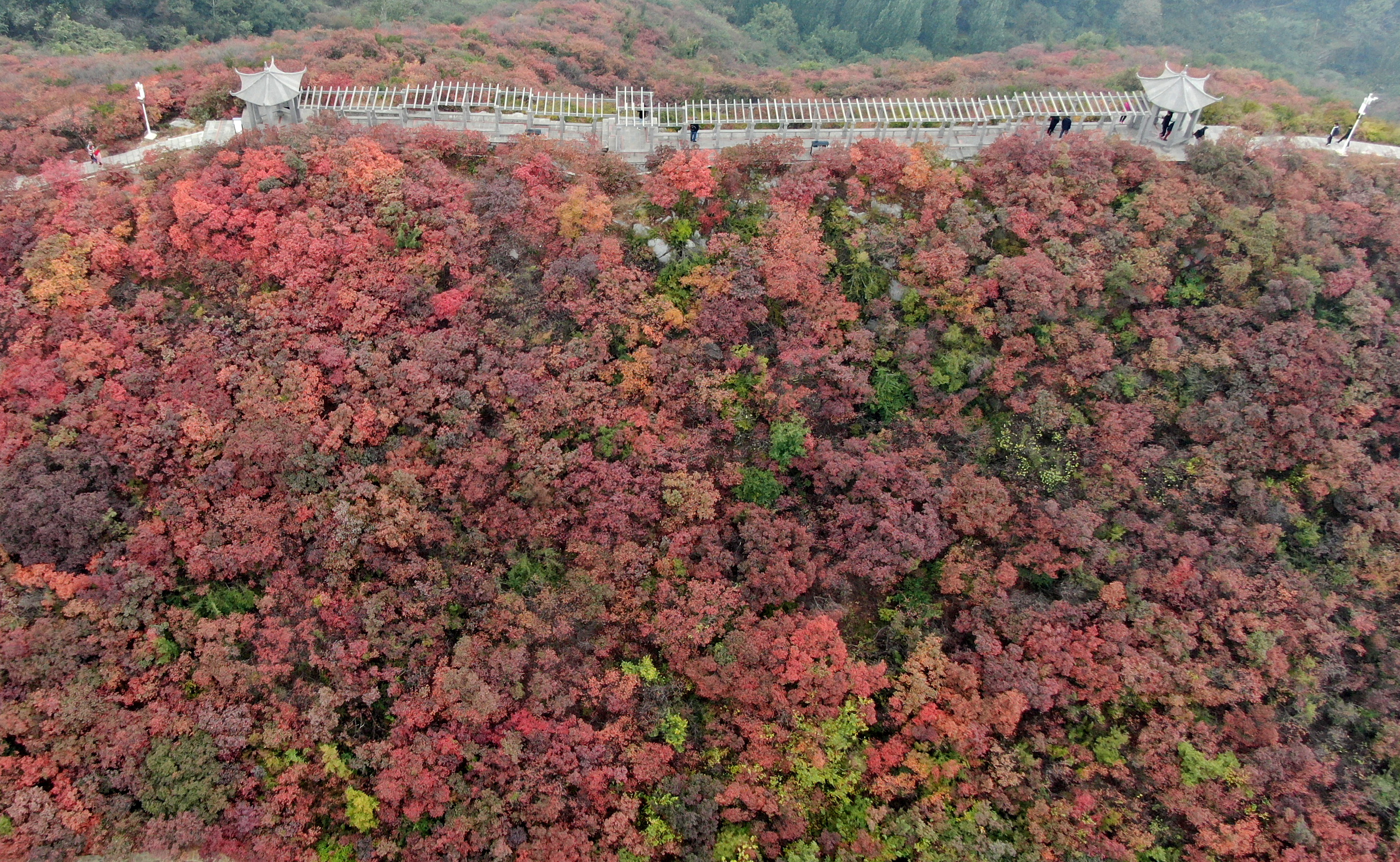 这是10月11日拍摄的巩义市竹林镇长寿山景色(无人机照片).