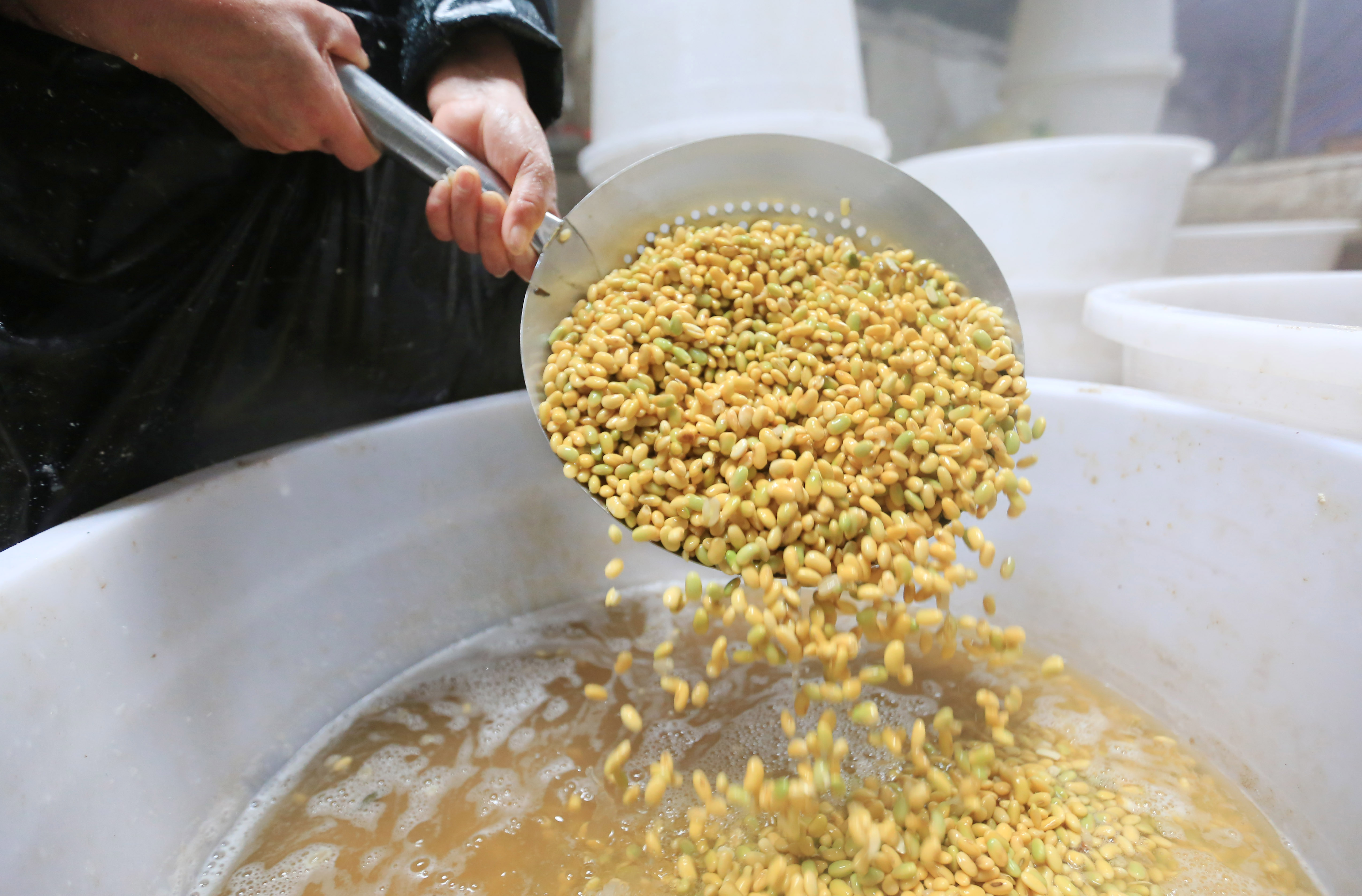 贵州大方:订单豆干忙生产