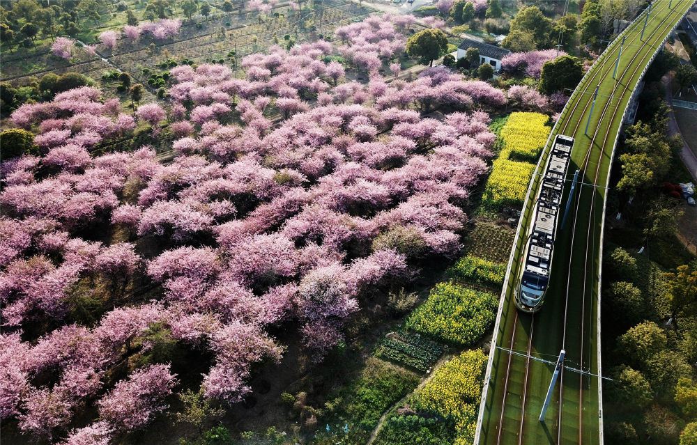 伟大旗帜引领历史巨变