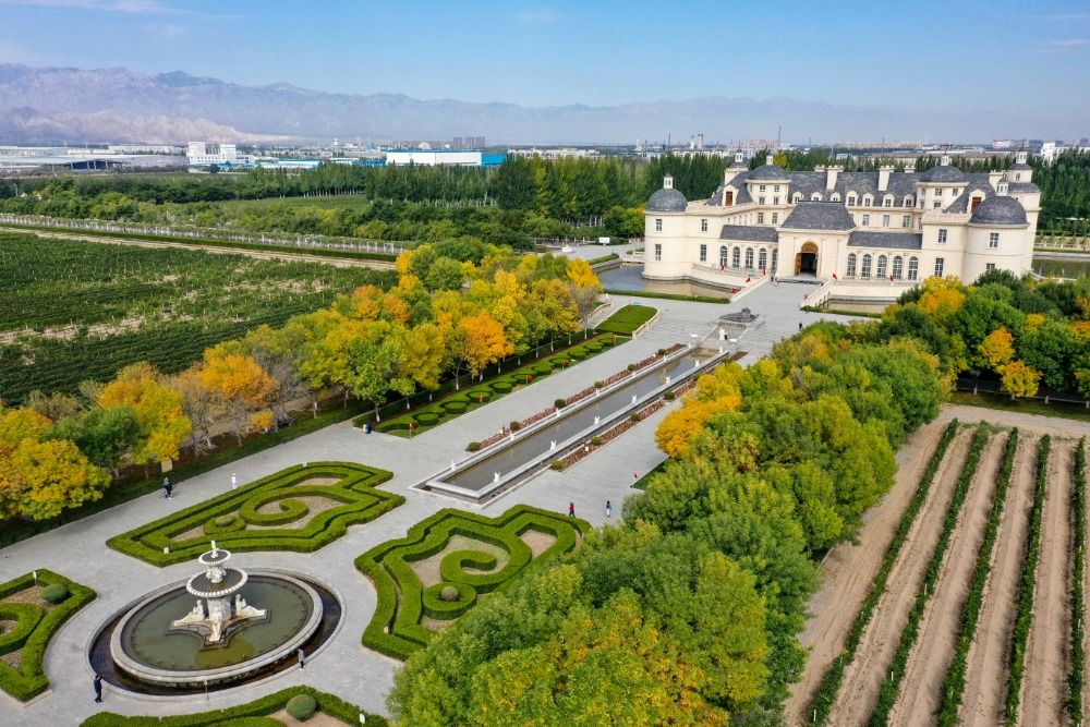 贺兰山东麓葡萄酒庄的旅游热-宁夏新闻网