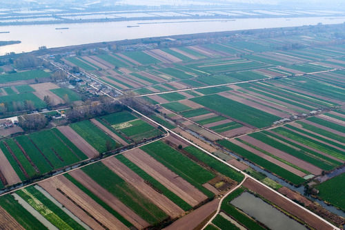 新华视点|土壤污染防治法执法检查曝出哪些“土”问题