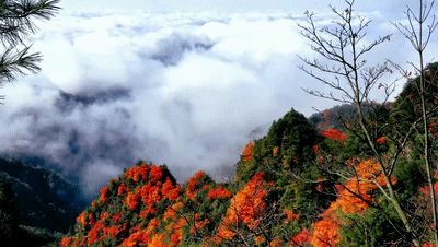 来宣汉巴山大峡谷 邂逅最美秋韵