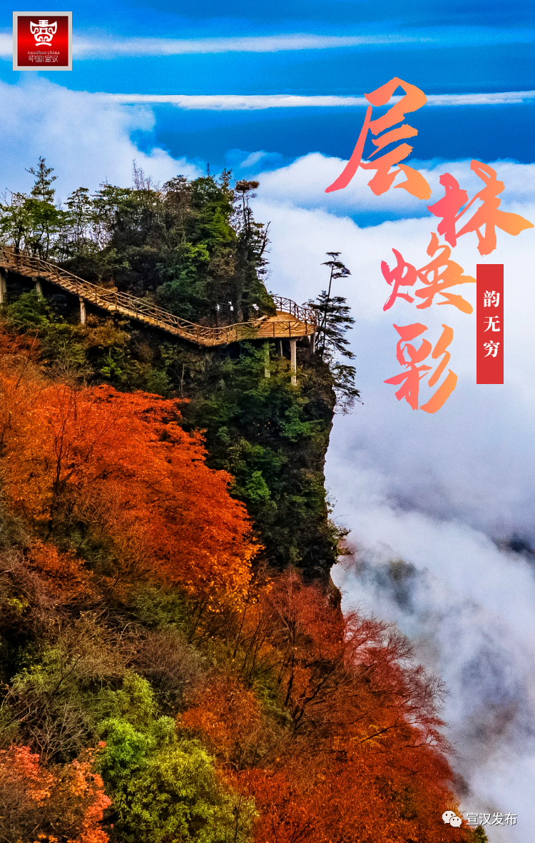 金秋如梦耀巴山 承接霜风寒露 听任凉意浸拂 深秋的峡谷七彩纷纭 层林