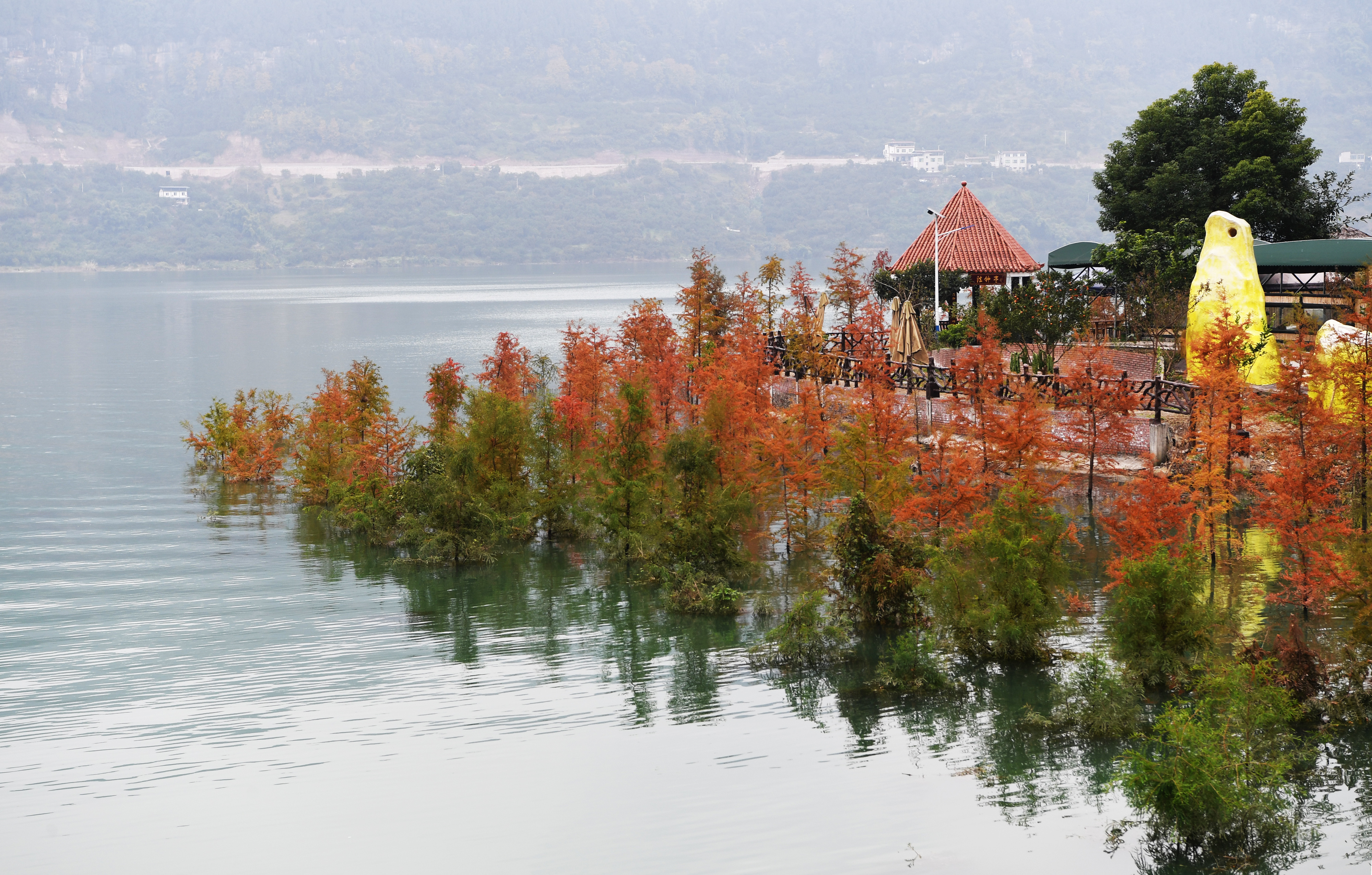 12月10日,游客在重庆市万州区大周镇的长江边游览.