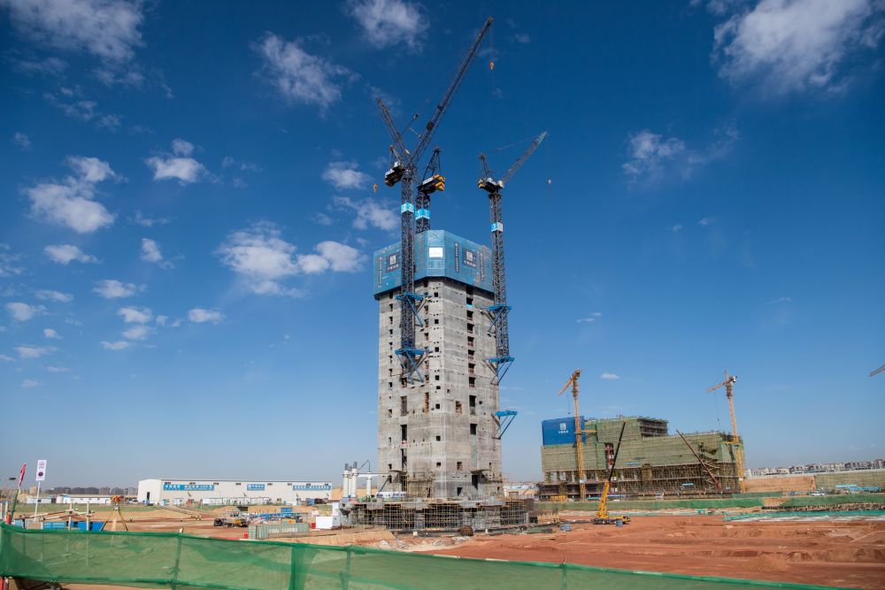 克“疫”而上　浇灌发展希望之花——“一带一路”工程点靓中东