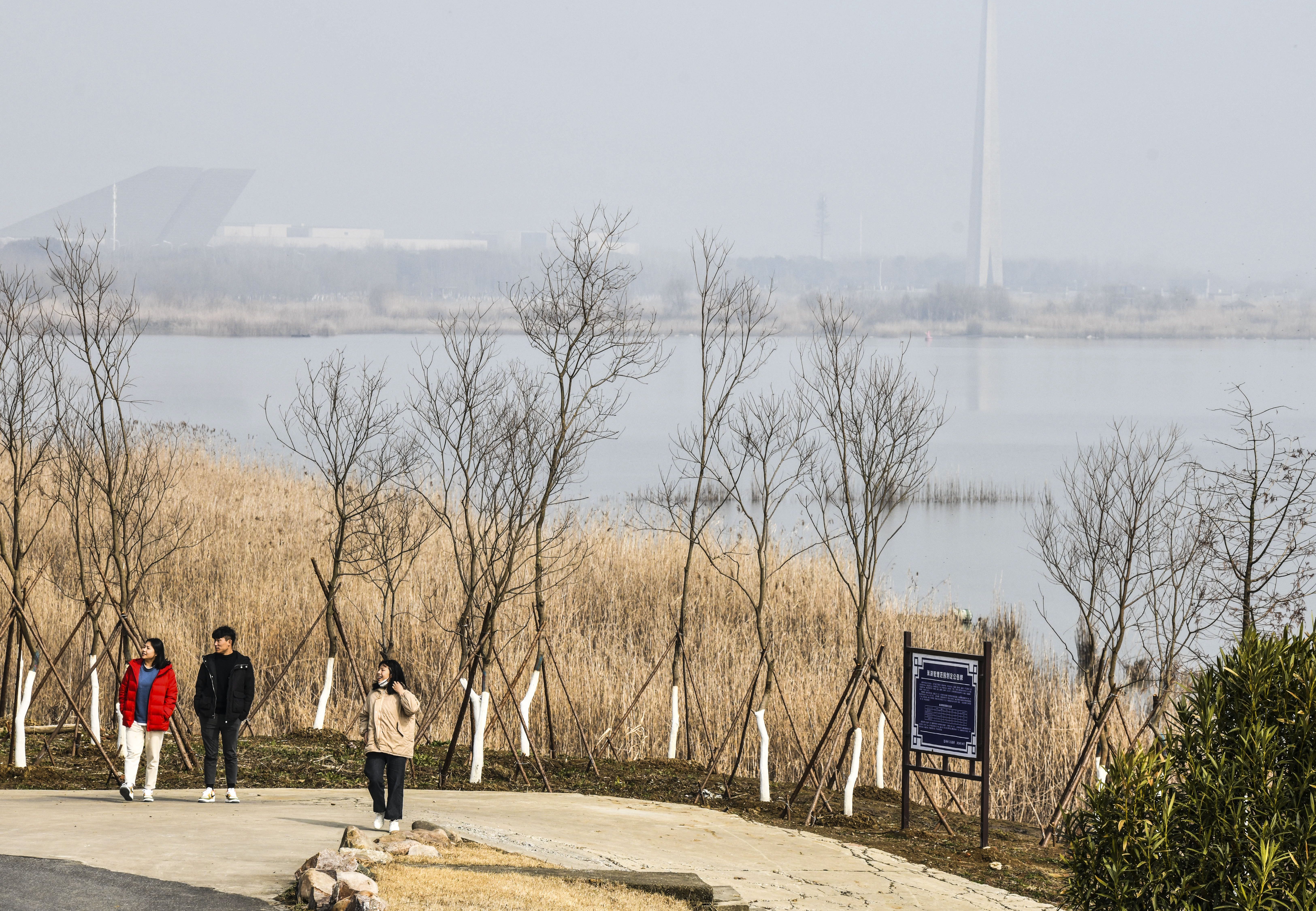 巢湖湖濱國家溼地公園和合肥濱湖國家森林公園景色優美,冬日裡別有一