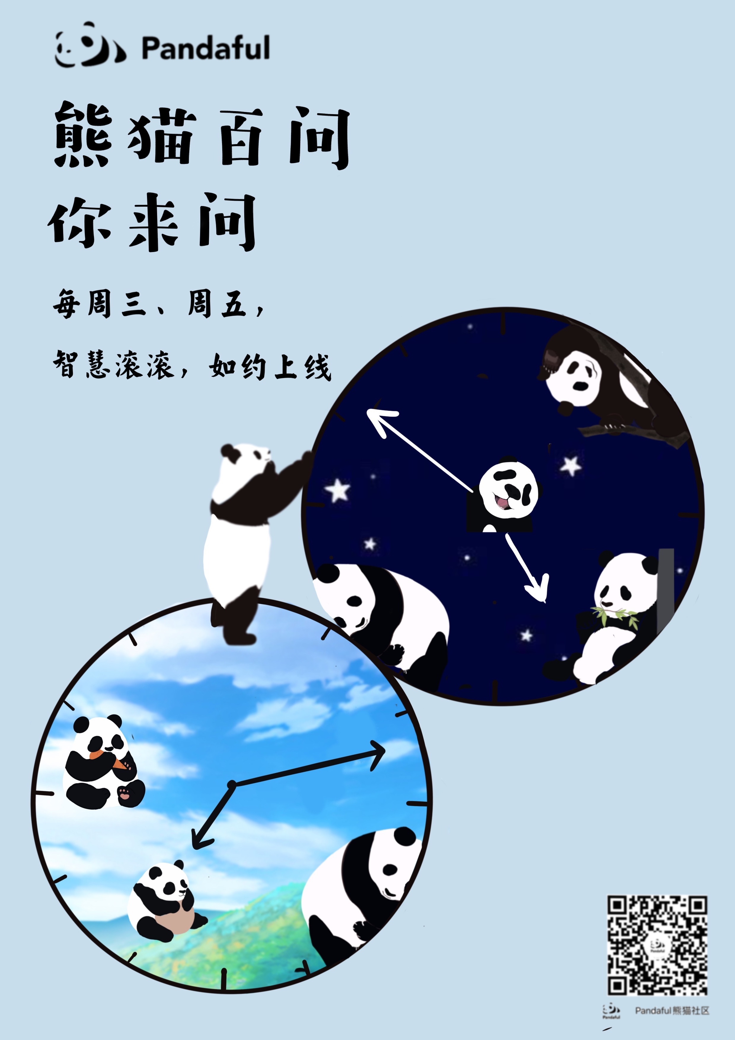 大熊猫的作息图片