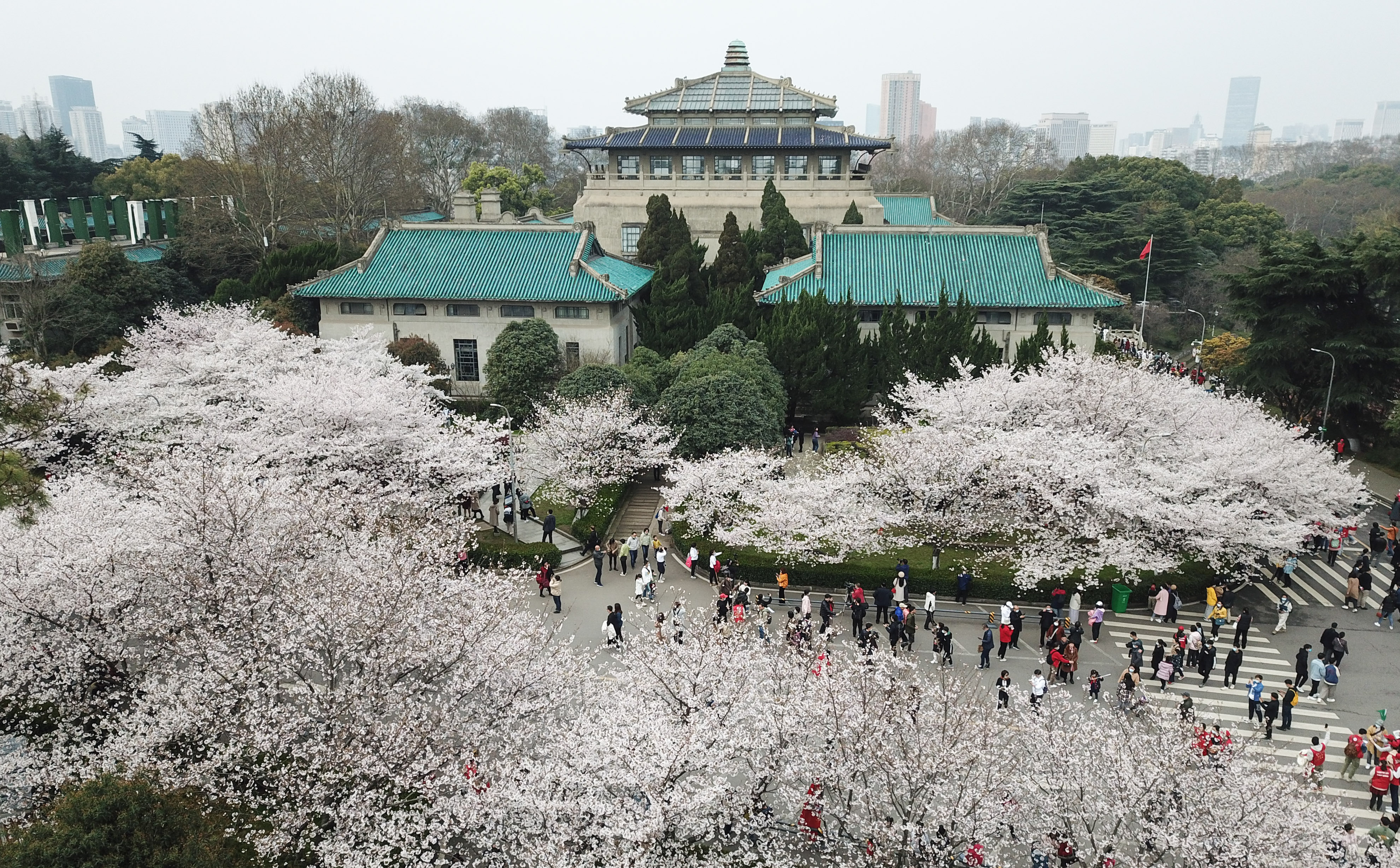 3月13日,来自各地的援鄂医护人员在武汉大学校园共赴樱花之约