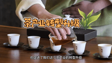 Vlog：“科特派”话茶科技