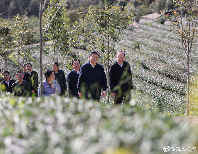 习近平考察朱熹园谈文化自信：没有中华五千年文明，哪有我们今天的成功道路