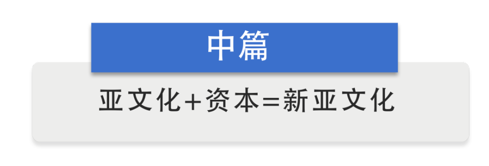 必赢下载亚文化中国景观：呐喊碰撞与重生(图4)