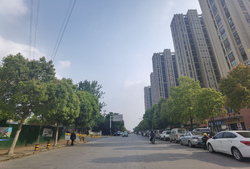 安徽合肥延乔路风景.新华社记者张紫赟摄