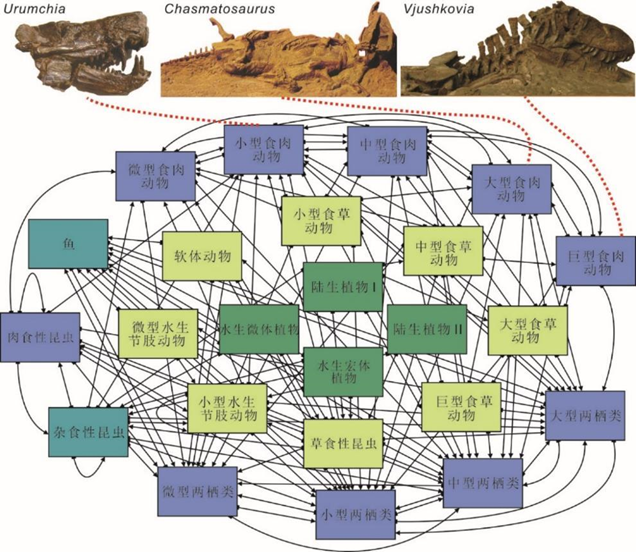 图为科研人员制作的古食物链网络图