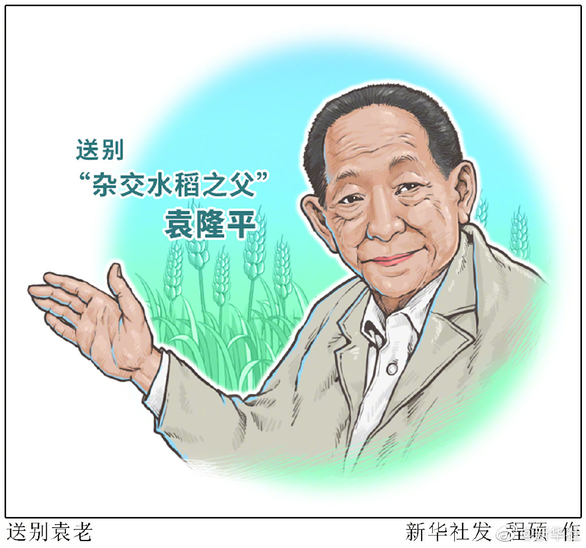 袁隆平人物简笔画水稻图片