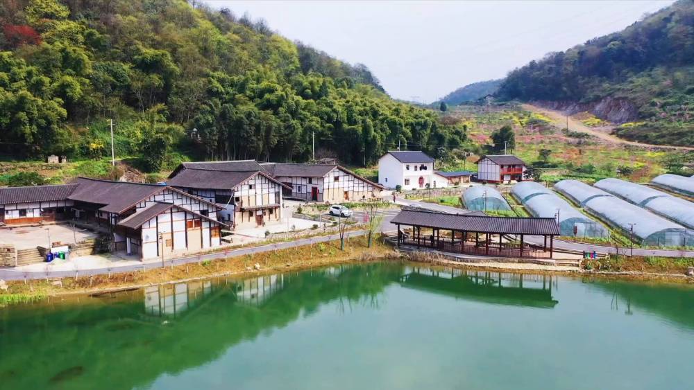 新华社报道重庆洛碛镇 沿着高速看中国|高速路 致富路