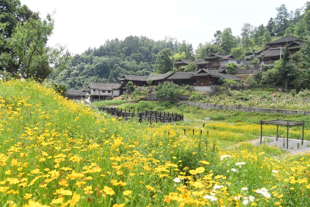 非遗助力,科技赋能——重庆彭水探索文旅融合高质量发展