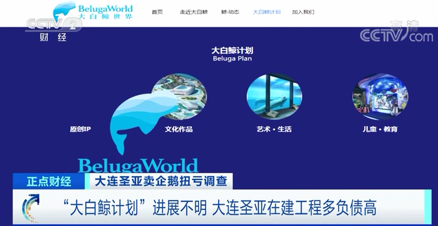 管理咨询公司的运营,管理咨询公司的运营模式