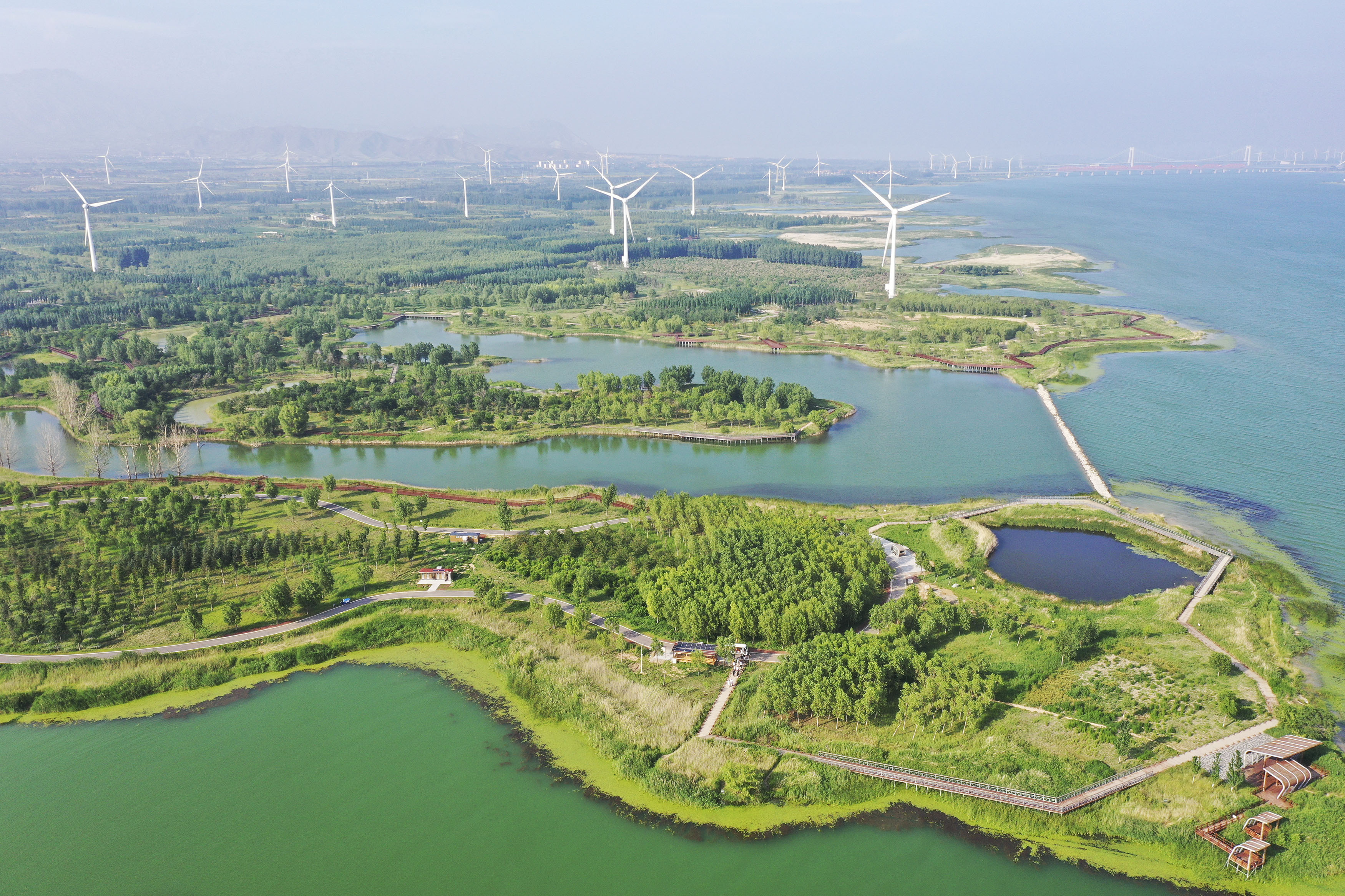 7月8日拍摄的河北省怀来县官厅水库国家湿地公园景色(无人机照片)